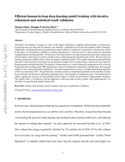 Efficient human-in-loop deep learning model training with iterative
  refinement and statistical result validation