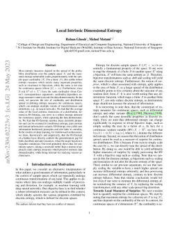 Local Intrinsic Dimensional Entropy
