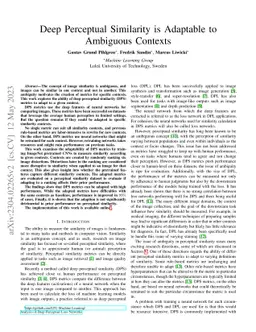 Deep Perceptual Similarity is Adaptable to Ambiguous Contexts