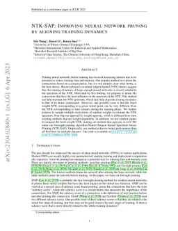 NTK-SAP: Improving neural network pruning by aligning training dynamics