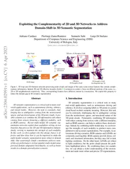 Exploiting the Complementarity of 2D and 3D Networks to Address
  Domain-Shift in 3D Semantic Segmentation