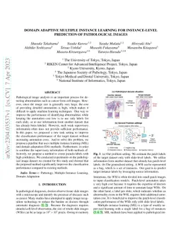 Domain Adaptive Multiple Instance Learning for Instance-level Prediction
  of Pathological Images