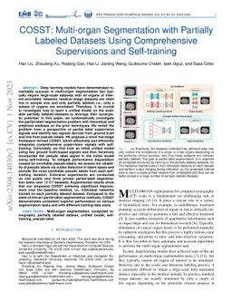 COSST: Multi-organ Segmentation with Partially Labeled Datasets Using
  Comprehensive Supervisions and Self-training