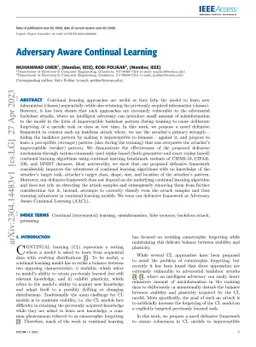 Adversary Aware Continual Learning