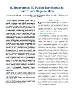 3D Brainformer: 3D Fusion Transformer for Brain Tumor Segmentation