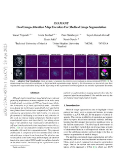 DIAMANT: Dual Image-Attention Map Encoders For Medical Image
  Segmentation