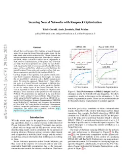 Securing Neural Networks with Knapsack Optimization