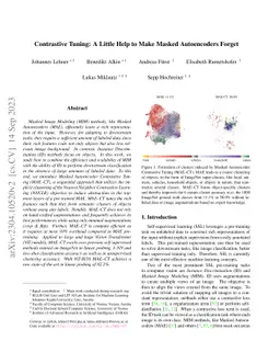 Contrastive Tuning: A Little Help to Make Masked Autoencoders Forget
