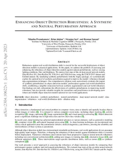 Enhancing object detection robustness: A synthetic and natural
  perturbation approach