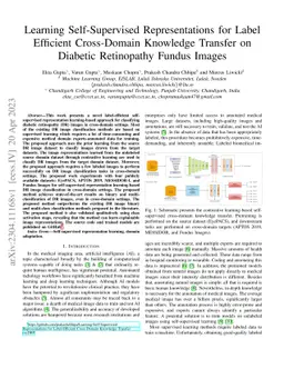 Learning Self-Supervised Representations for Label Efficient
  Cross-Domain Knowledge Transfer on Diabetic Retinopathy Fundus Images
