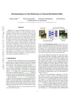 Benchmarking Low-Shot Robustness to Natural Distribution Shifts