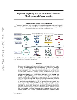 Segment Anything in Non-Euclidean Domains: Challenges and Opportunities