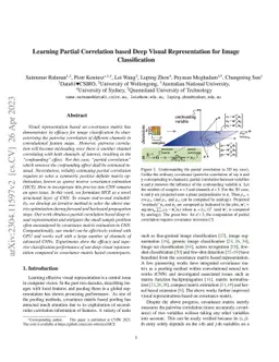 Learning Partial Correlation based Deep Visual Representation for Image
  Classification