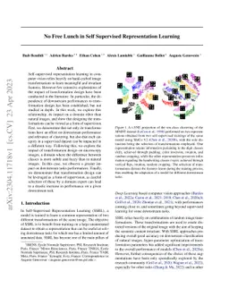 No Free Lunch in Self Supervised Representation Learning