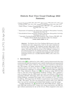 Diabetic Foot Ulcer Grand Challenge 2022 Summary