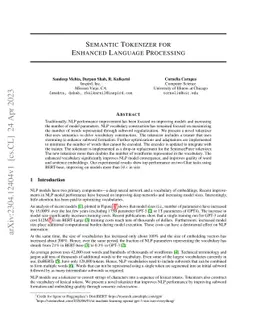 Semantic Tokenizer for Enhanced Natural Language Processing
