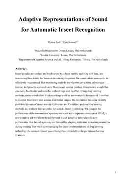 Adaptive Representations of Sound for Automatic Insect Recognition