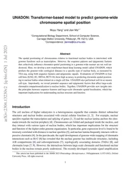 UNADON: Transformer-based model to predict genome-wide chromosome
  spatial position