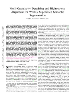 Multi-Granularity Denoising and Bidirectional Alignment for Weakly
  Supervised Semantic Segmentation