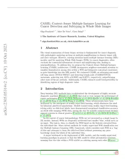 CAMIL: Context-Aware Multiple Instance Learning for Cancer Detection and
  Subtyping in Whole Slide Images