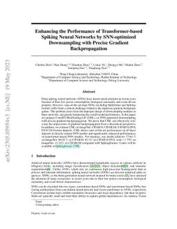 Enhancing the Performance of Transformer-based Spiking Neural Networks
  by SNN-optimized Downsampling with Precise Gradient Backpropagation