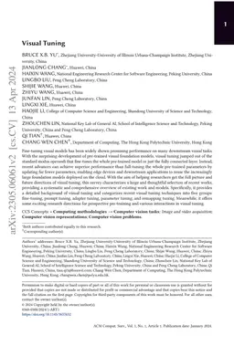 Visual Tuning