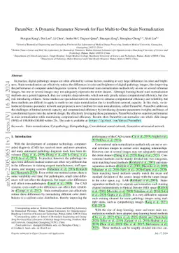 ParamNet: A Dynamic Parameter Network for Fast Multi-to-One Stain
  Normalization