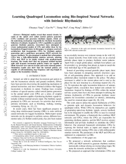 Learning Quadruped Locomotion using Bio-Inspired Neural Networks with
  Intrinsic Rhythmicity