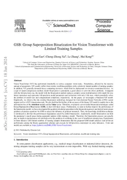GSB: Group Superposition Binarization for Vision Transformer with
  Limited Training Samples