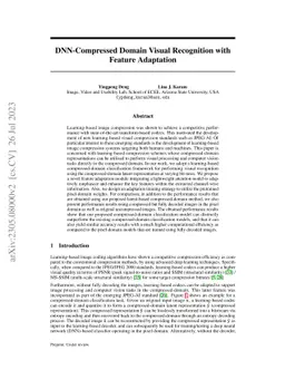 DNN-Compressed Domain Visual Recognition with Feature Adaptation