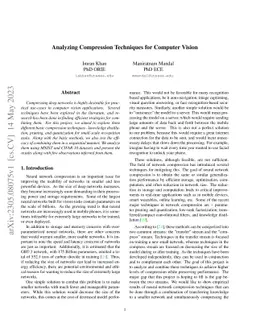 Analyzing Compression Techniques for Computer Vision