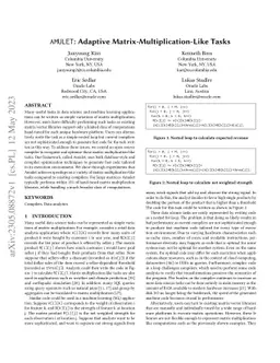 AMULET: Adaptive Matrix-Multiplication-Like Tasks