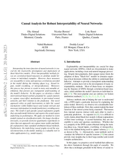 Causal Analysis for Robust Interpretability of Neural Networks