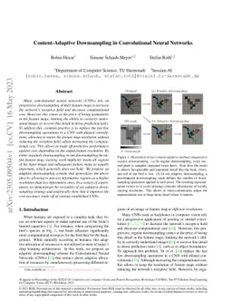Content-Adaptive Downsampling in Convolutional Neural Networks