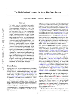 The Ideal Continual Learner: An Agent That Never Forgets