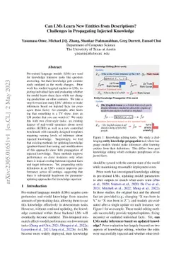 Can LMs Learn New Entities from Descriptions? Challenges in Propagating
  Injected Knowledge