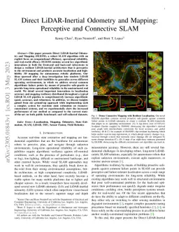 Direct LiDAR-Inertial Odometry and Mapping: Perceptive and Connective
  SLAM