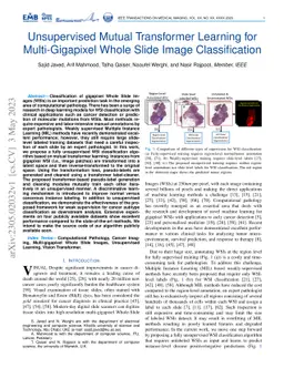 Unsupervised Mutual Transformer Learning for Multi-Gigapixel Whole Slide
  Image Classification