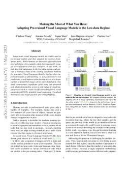 Making the Most of What You Have: Adapting Pre-trained Visual Language
  Models in the Low-data Regime