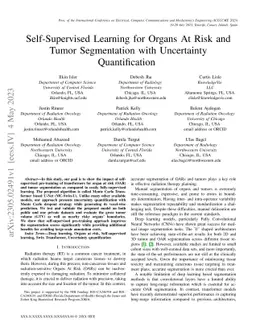 Self-Supervised Learning for Organs At Risk and Tumor Segmentation with
  Uncertainty Quantification