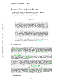 General Neural Gauge Fields