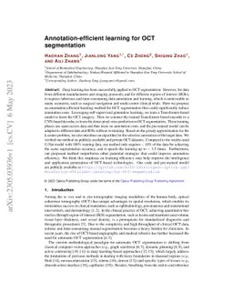 Annotation-efficient learning for OCT segmentation