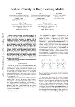 Feature Chirality in Deep Learning Models