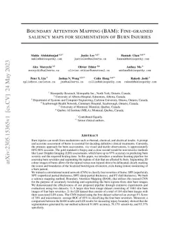 Boundary Attention Mapping (BAM): Fine-grained saliency maps for
  segmentation of Burn Injuries