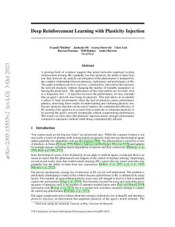 Deep Reinforcement Learning with Plasticity Injection