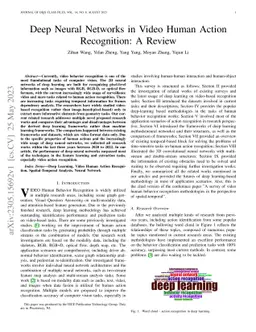 Deep Neural Networks in Video Human Action Recognition: A Review