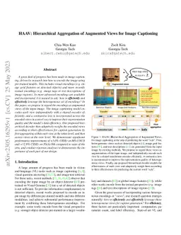 HAAV: Hierarchical Aggregation of Augmented Views for Image Captioning