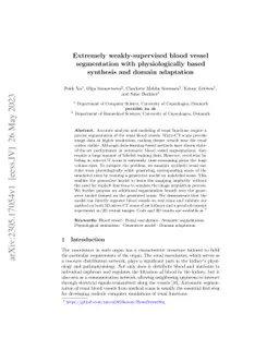 Extremely weakly-supervised blood vessel segmentation with
  physiologically based synthesis and domain adaptation
