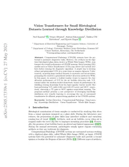Vision Transformers for Small Histological Datasets Learned through
  Knowledge Distillation