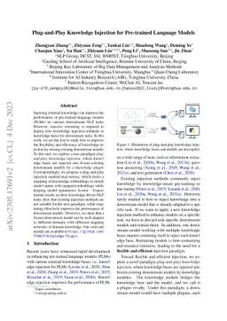 Plug-and-Play Knowledge Injection for Pre-trained Language Models